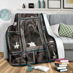 Overhead view of gallery wall dog art print draped neatly across bedroom styling.