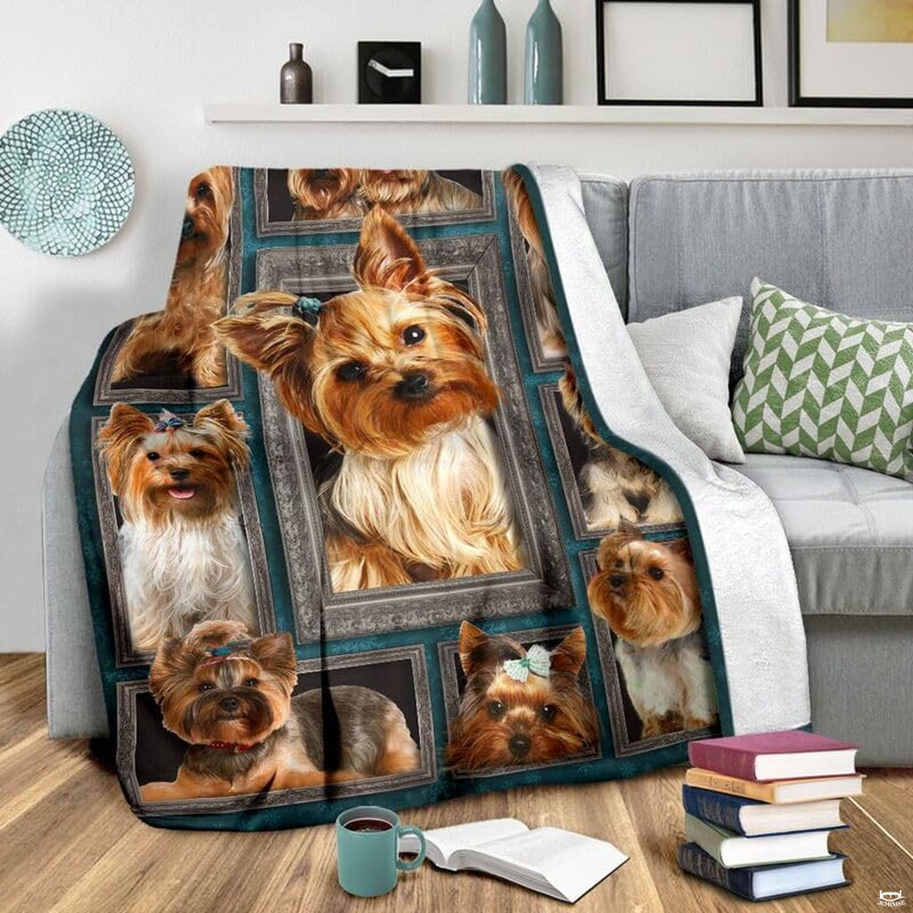Framed Yorkie dog gallery graphic blanket styled across bedroom bed