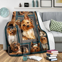 Framed Yorkie dog gallery graphic blanket styled across bedroom bed