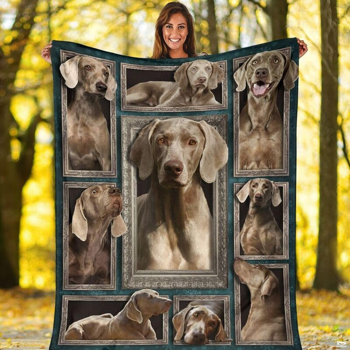 Detailed view of ornate silver picture frame borders and festive snowflake patterns on teal.