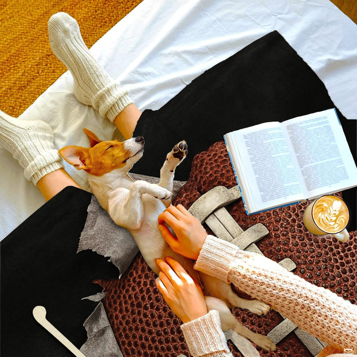 Sports throw blanket resting across lap while stroking a relaxed puppy beside a cup of coffee.