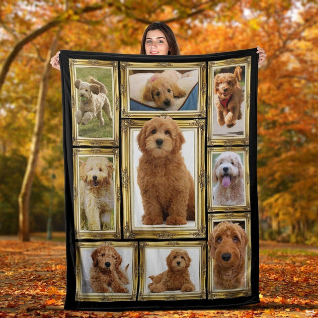 Goldendoodle dog photo gallery collage in nine ornate gold picture frames against black on a throw blanket