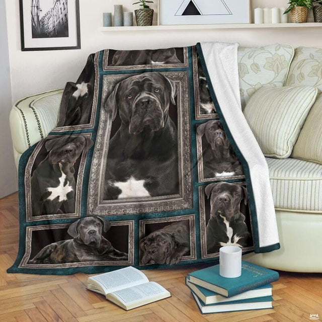 Multi-panel baroque gallery collage displaying Cane Corso dog portraits on dark teal.