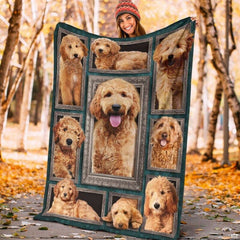Framed doodle dog gallery graphic blanket draped across bedroom bed