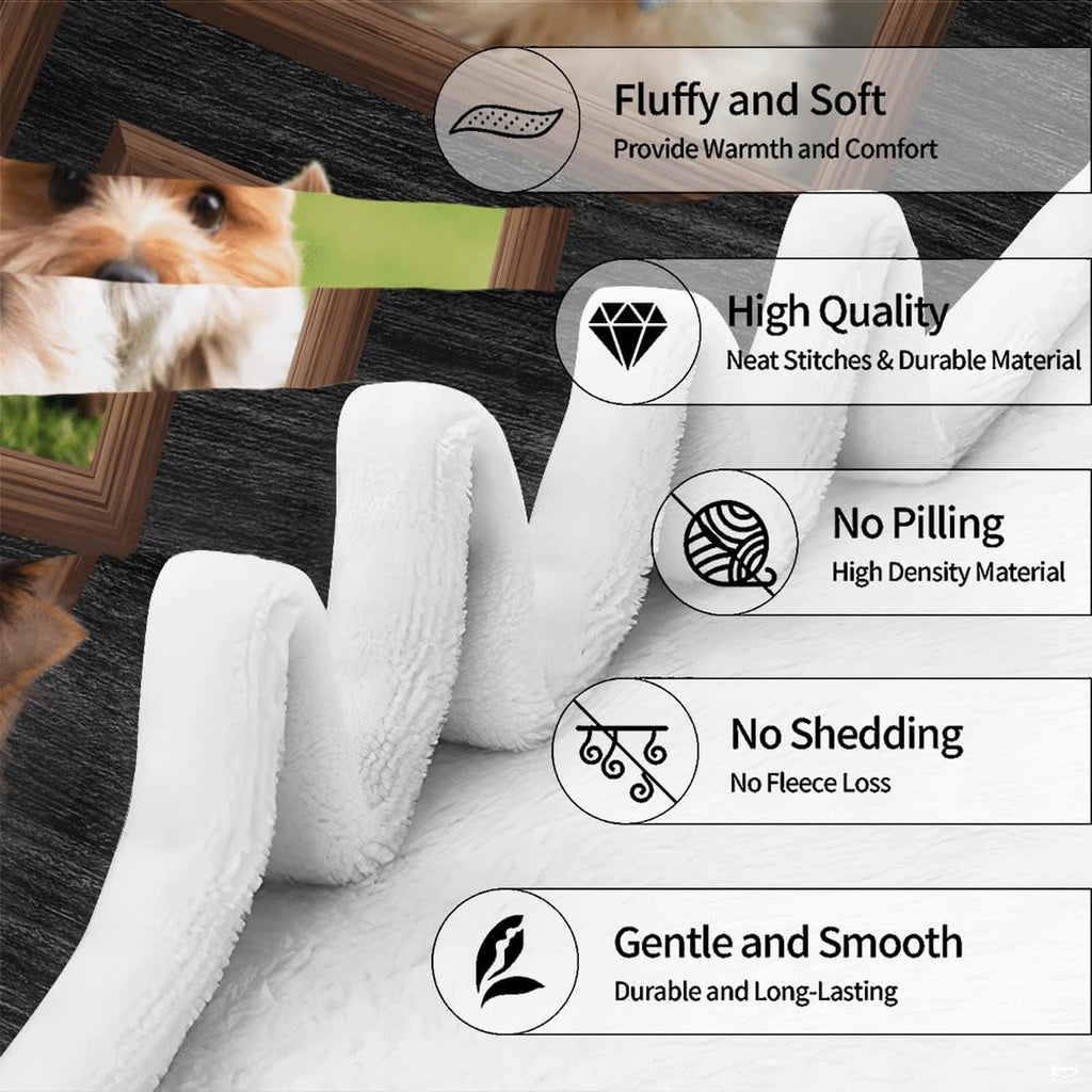 Feature diagram highlighting graphic icons for framed dog blanket.