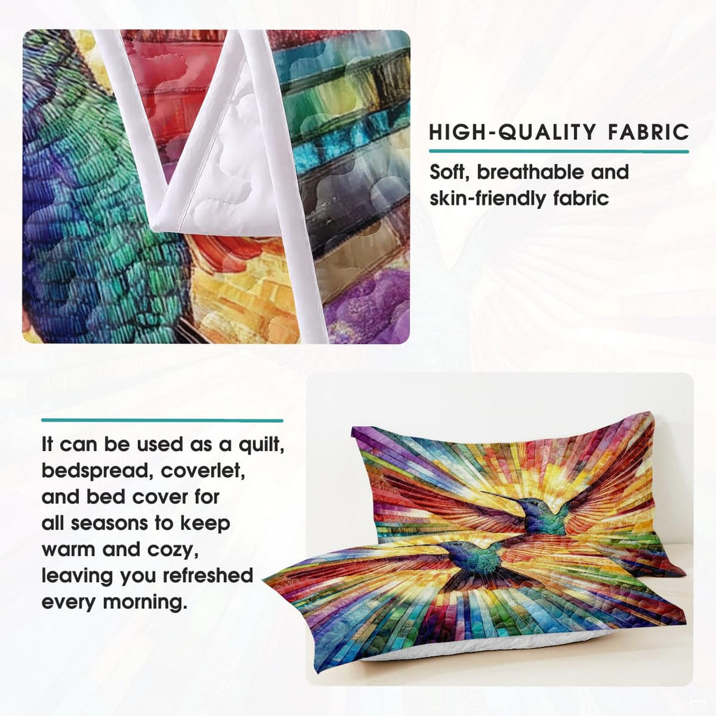 Pillow display with hummingbird and radiating multicolored stripes