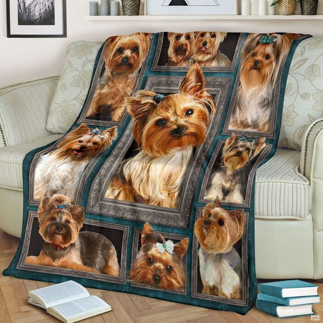 Close view of center Yorkie dog in ornate silver picture frame on blanket