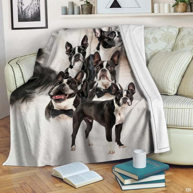 Overhead view of Boston Terrier montage bedding set with monochromatic graphic styling.