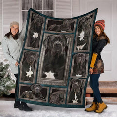 Living room sofa styled with regal dog portrait collage in ornate vintage frames.