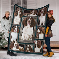 Overhead perspective of ornate silver framed canine artwork on rich teal floral baroque background.