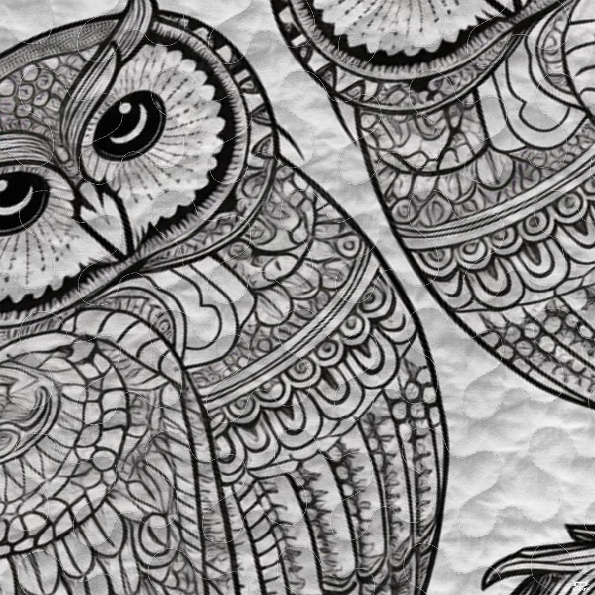 Close-up view of owl bedding highlighting detailed white feather plumage, curved beak, and golden eyes