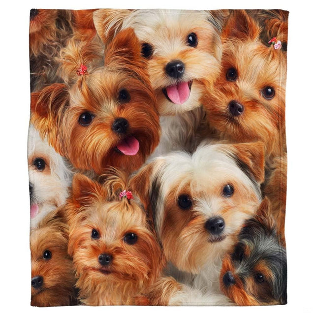 Close-up of smiling Yorkshire Terrier faces showing open mouths, pink tongues, and perky topknots on a blanket