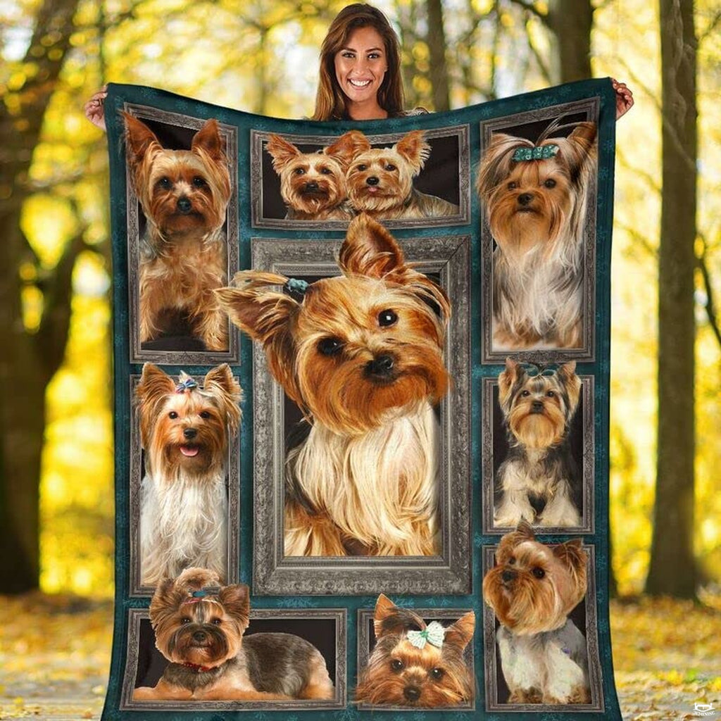 Folded canine graphic blanket highlighting antique silver frames and teal