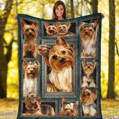 Folded canine graphic blanket highlighting antique silver frames and teal