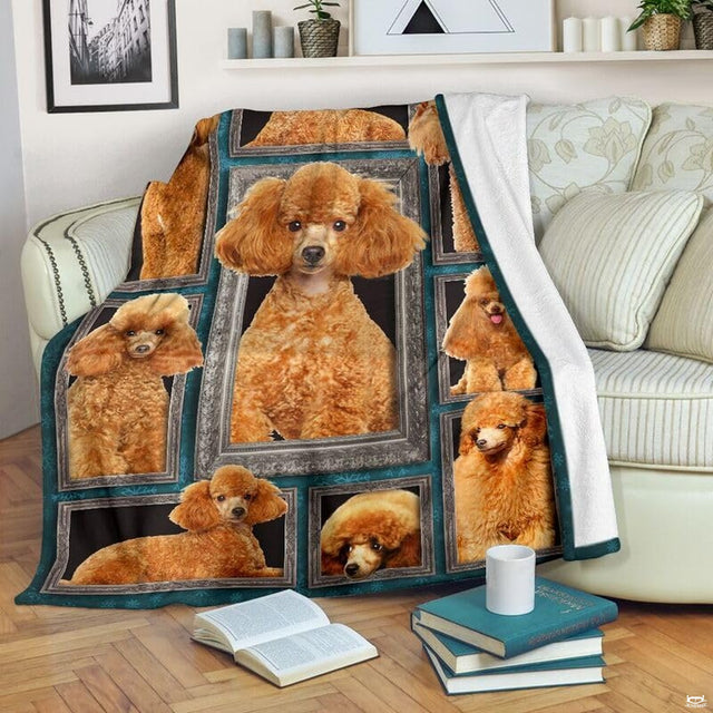 Apricot Poodle framed gallery wall dog blanket draped over sofa