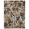 All-over Saluki hound portrait pattern with feathered ears in warm tan and fawn tones.
