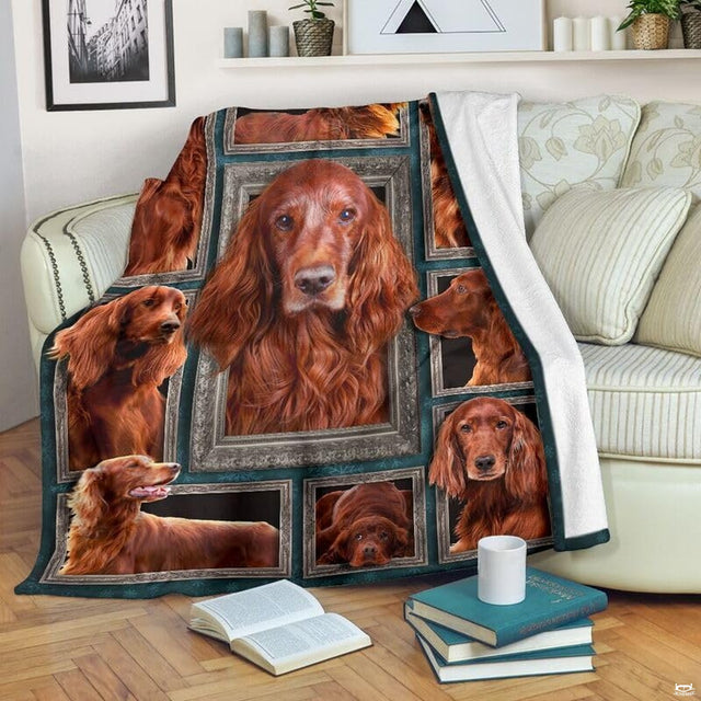 Irish Setter blanket draped over an armchair displaying framed dog portraits on a teal background.
