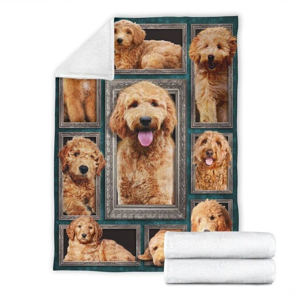 Fleece dog throw draped gracefully over a bedroom accent chair.
