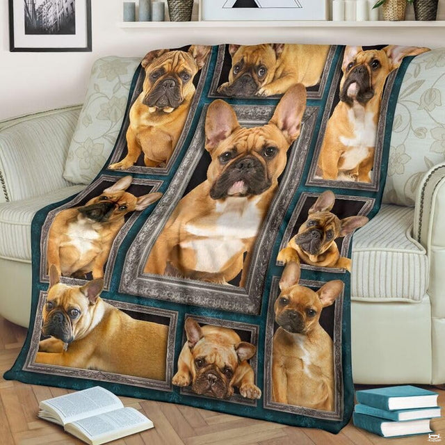 Living room couch view showing the French Bulldog blanket arranged beside books and a teacup.