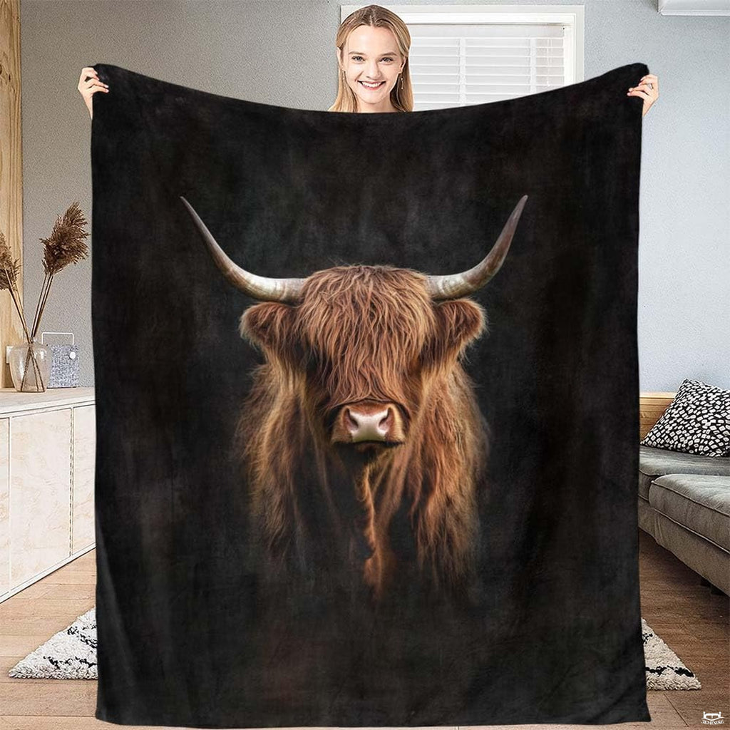 Dramatic portrait of Scottish Highland cow with curved horns emerging from black background, view 2.