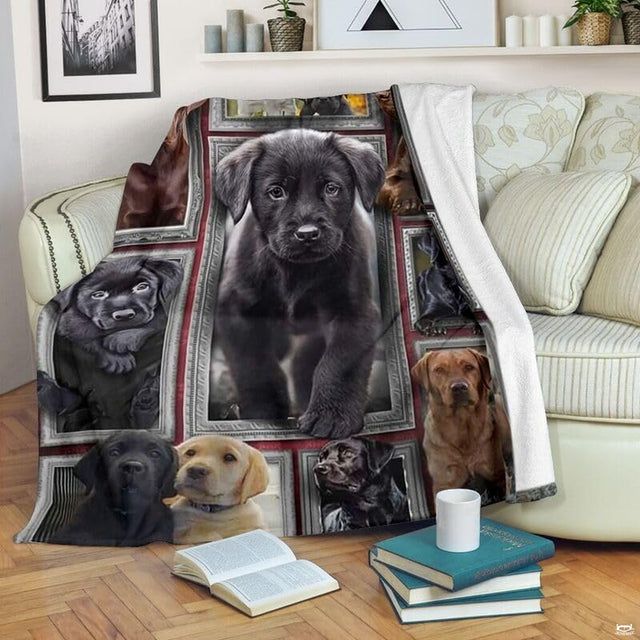 Pit Bull Terrier throw blanket styled across a living room sofa near stacked books and a cup.
