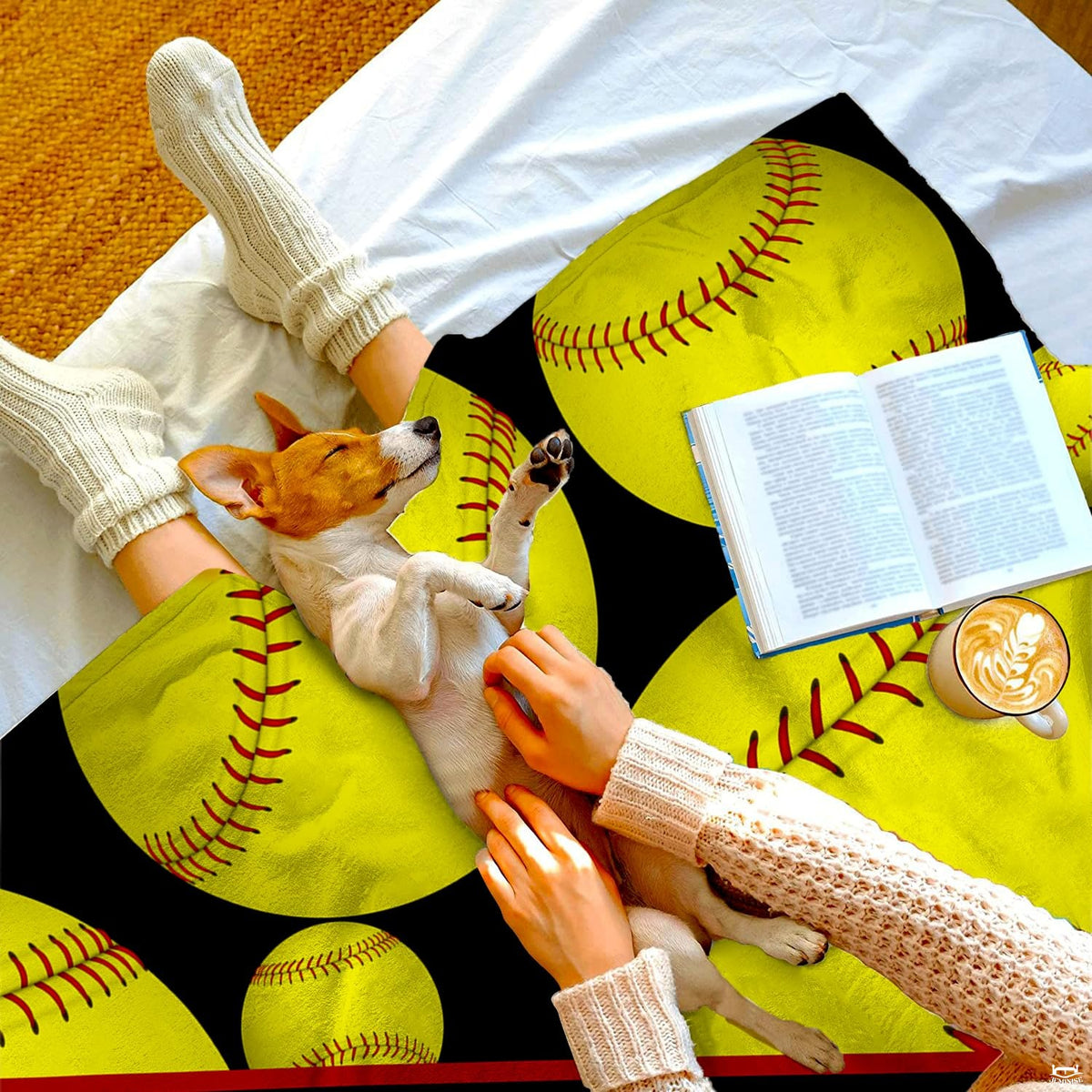 Living room staging displaying diagonal sash softball throw blanket styled across a sofa.