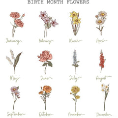 Illustrated chart displaying monthly botanical species illustrations
