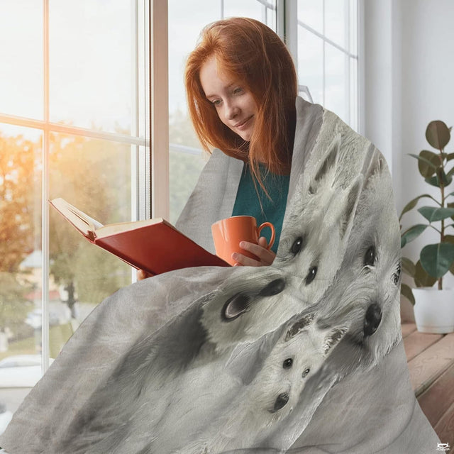 Close view of smiling Westie terrier faces and dark eyes on blanket