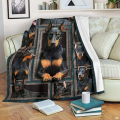 Doberman Pinscher blanket draped over an armchair displaying framed dog portraits on a teal background.