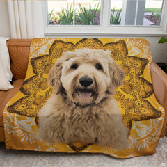 Sunflower mandala canine graphic blanket arranged over living room armchair