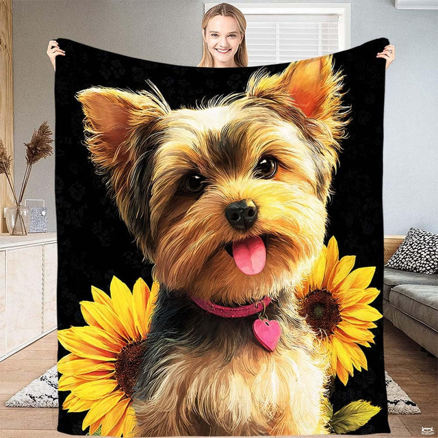 Happy Yorkshire Terrier wearing a pink heart collar flanked by blooming yellow sunflowers on black throw blanket