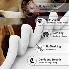Close-up perspective of golden retriever bedding illustrating glossy coat textures and thematic accent golden shades.