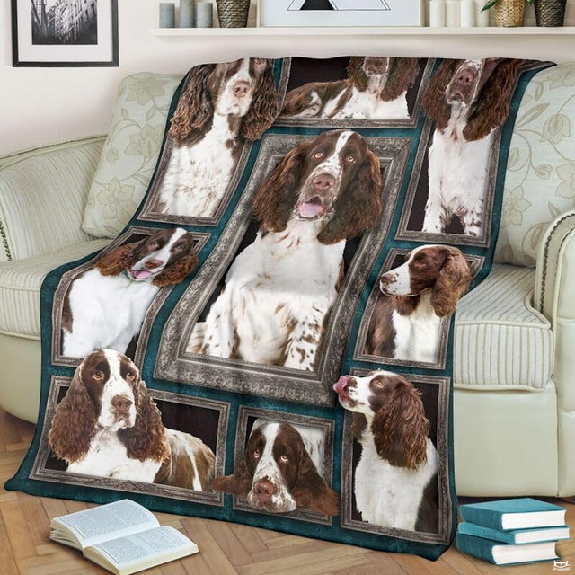 English Springer Spaniel throw blanket styled across a living room sofa near stacked books and a cup.