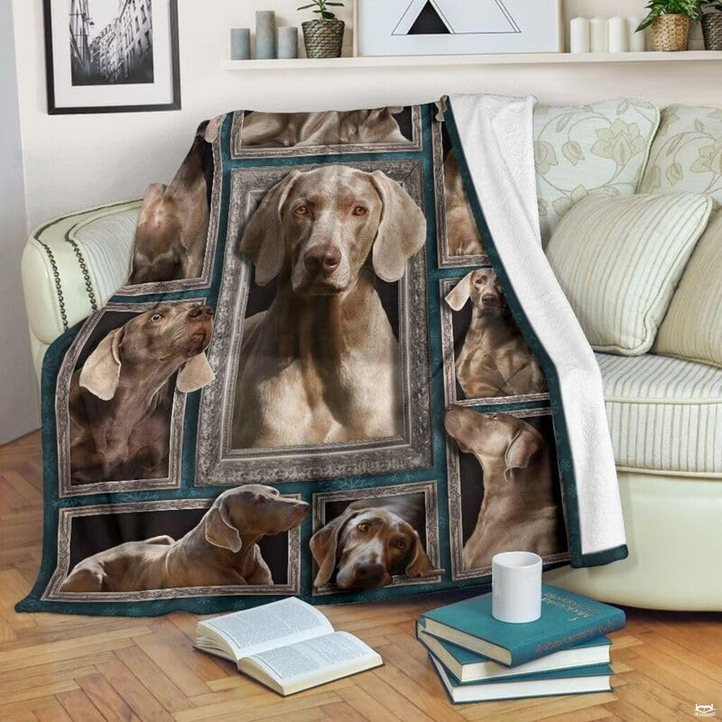 Weimaraner pet portrait fleece featuring ornate silver frames on deep teal with delicate snowflake motifs.