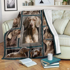 Weimaraner pet portrait fleece featuring ornate silver frames on deep teal with delicate snowflake motifs.