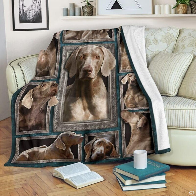 Weimaraner pet portrait fleece featuring ornate silver frames on deep teal with delicate snowflake motifs.