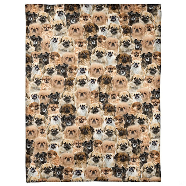 All-over pattern display showing a dense photo collage of smiling Pekingese dog portraits.