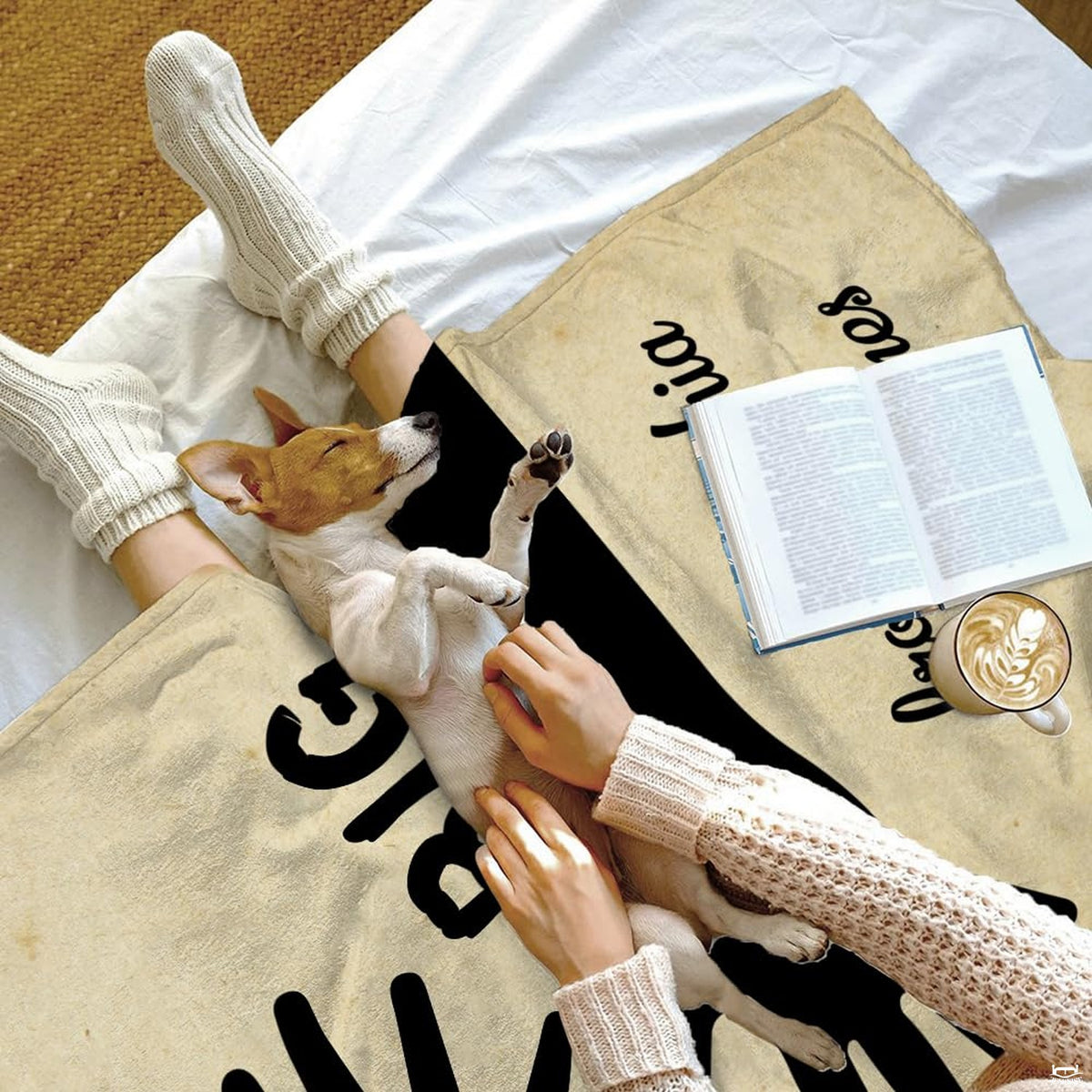 Overhead perspective of cream silhouette drape across reading lounger