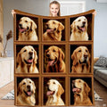 Golden retriever bedding set featuring nine canine portraits in trompe-l'œil wooden picture frames.