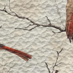 Close-up perspective of cardinal bedding highlighting scarlet songbird plumage, birch boughs, and pine needles