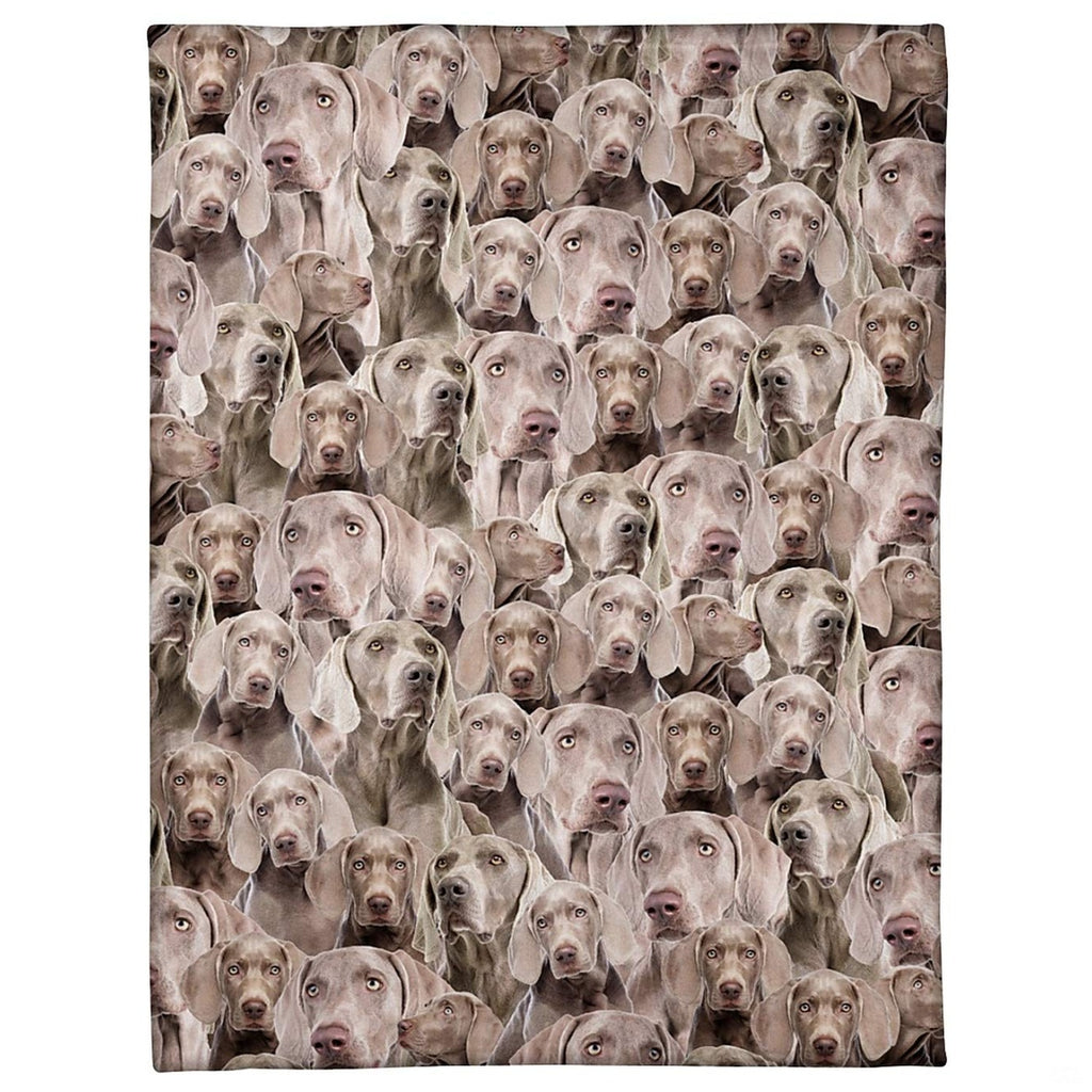 Weimaraner dog breed blanket featuring an all-over photo collage pattern.