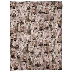Weimaraner dog breed blanket featuring an all-over photo collage pattern.