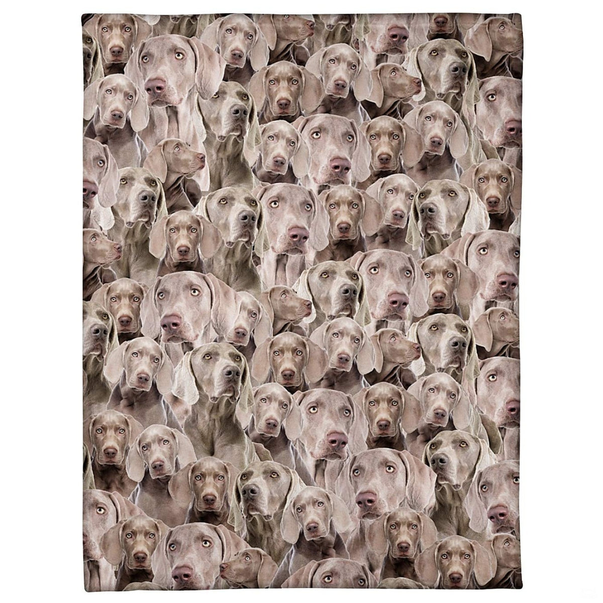 Weimaraner dog breed blanket featuring an all-over photo collage pattern.