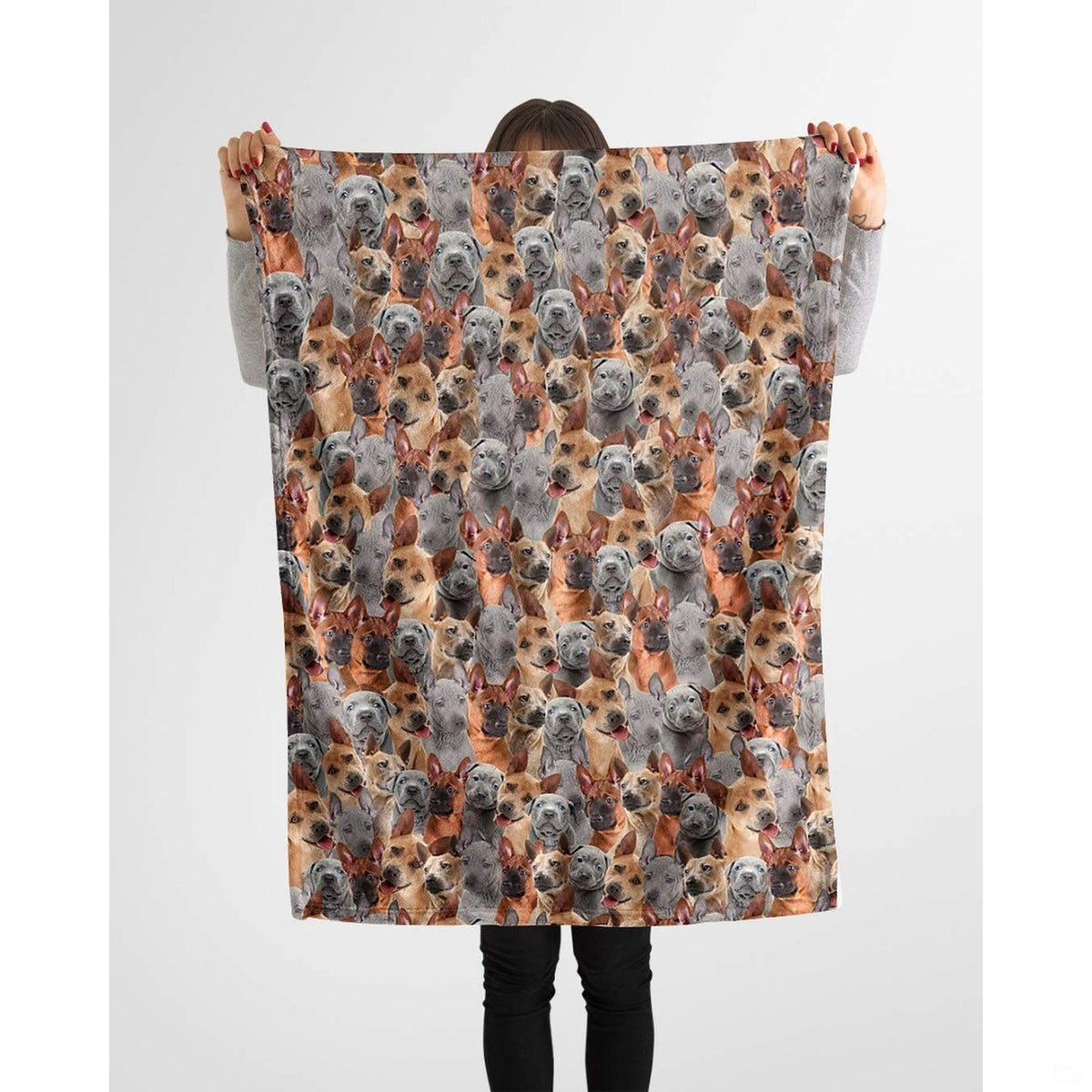 Thai Ridgeback puppy collage blanket styled across a couch in a bright living room.