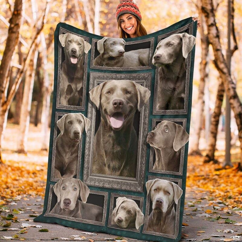 Teal gallery wall retriever dog blanket displayed on living room armchair