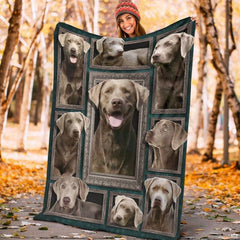 Teal gallery wall retriever dog blanket displayed on living room armchair
