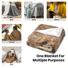 Alternative perspective of golden doodle sunflower graphic blanket