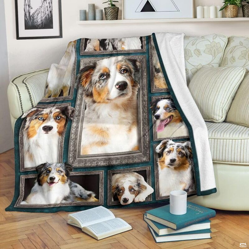 Australian Shepherd blanket draped over an armchair displaying framed dog portraits on a teal background.