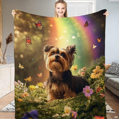 Yorkshire terrier dog in wildflower meadow beneath colorful rainbow and butterflies, view 1.