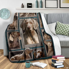 Artistic collage displaying multiple canine poses against deep teal patterned bedroom background.